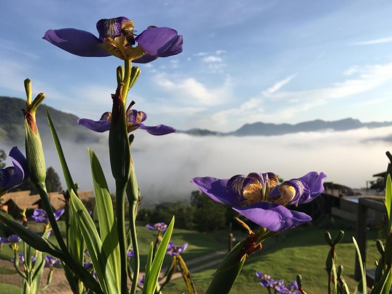 Pousada Caminho Da Mata São Bento do Sapucaí Exterior foto